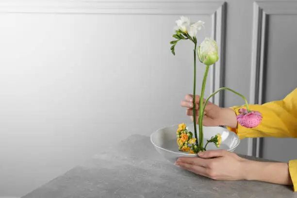 Stylish ikebana as house decor. Woman creating floral composition with fresh flowers at grey table near white wall, closeup and space for text