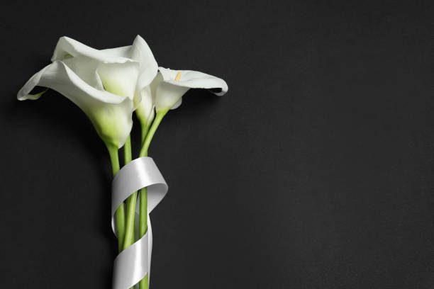 Beautiful calla lilies and white ribbon on black background, flat lay with space for text. Funeral symbol