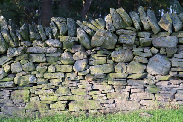 istock Section of old dry stone wall 1646950661