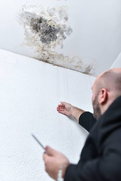 istock Water Running Down Wall From Damp Spot On Ceiling While Male Insurance Agent Tries To Estimate Repair Coverage 1646960049