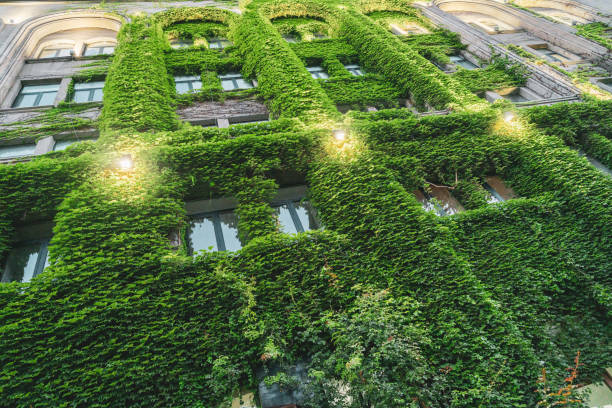 istock Building covered by foliage with light in Tbilisi. 1646976536
