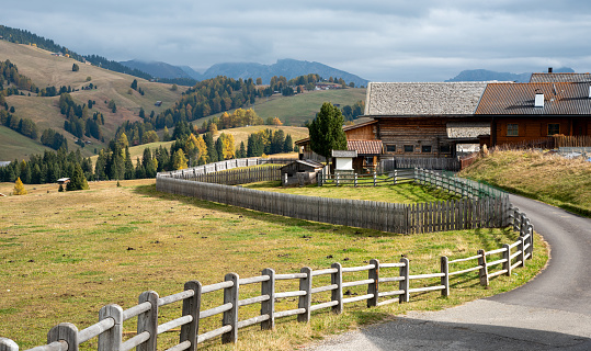 Fence and rural road leading to a mountain wooden chalet at the famous Alpe di Siusi valley on the Dolomites, South Tyrol in Italy
