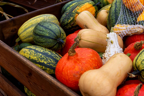 different pumpkins in a wooden box, pumpkin harvest