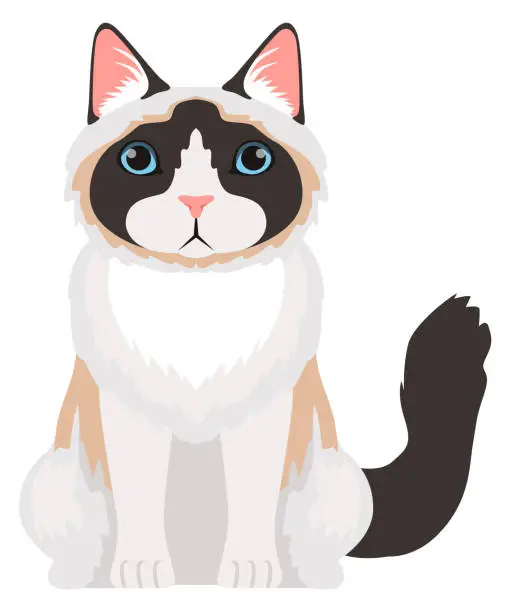 Vector illustration of Siamese cat. Fluffy pet sitting. Pet icon