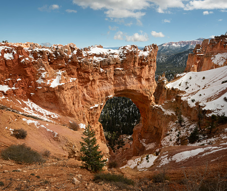 Natural Bridge at Bryce Canyon National Park is an 85-foot (26 -meter) sandstone arch carved by geologic forces over millions of years.  Visible through the arch is a contrasting, deep green ponderosa forest.