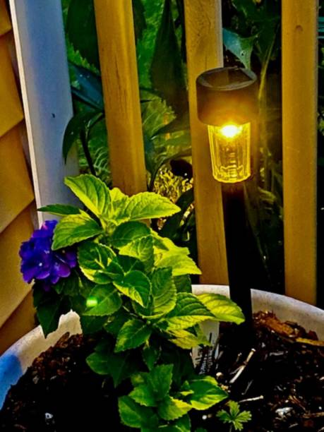 istock Mighty power of one solar light 1647055328