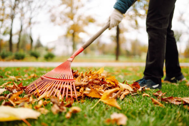 zbliżenie grabi zbierających opadłe liście jesienią. - garden waste zdjęcia i obrazy z banku zdjęć