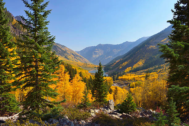 istock Yellow green aspen overlooking Maroon Lake and Elk Mountains 164708583