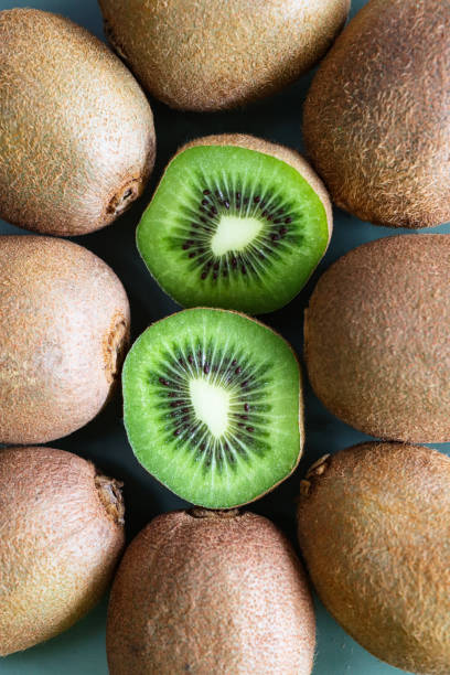 Full frame image of group of nine kiwi fruit (Actinidia chinensis), Chinese gooseberry cut in half displaying fuzzy brown skin and bright green flesh with ring of black seeds, blue background, elevated view stock photo