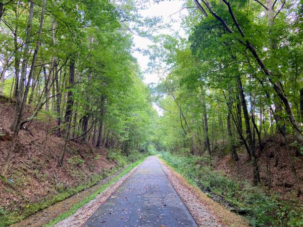istock Chief Ladiga Trail in Weaver, Alabama 1647166331