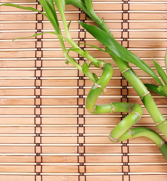 istock green bamboo on wood mat 164722627