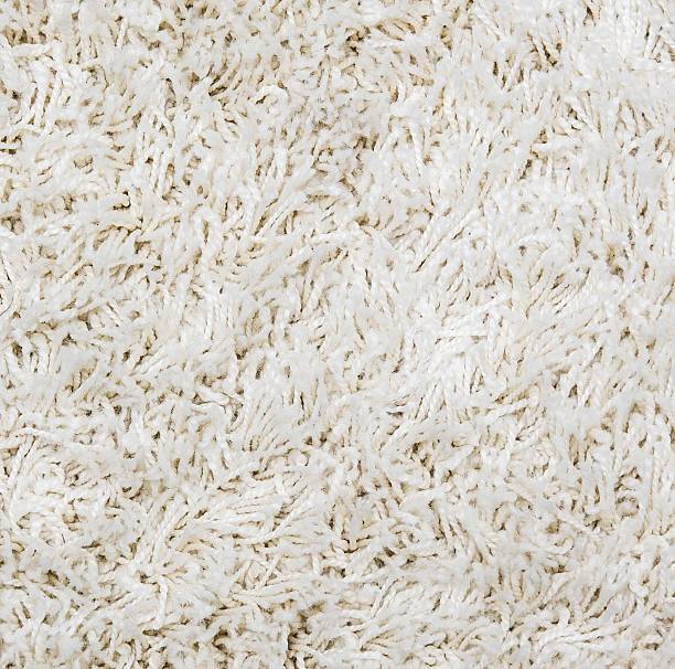 istock White shaggy carpet background 164724383
