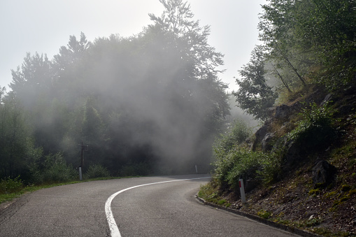 Foggy asphalt road in the morning. Road in the forest with fog.