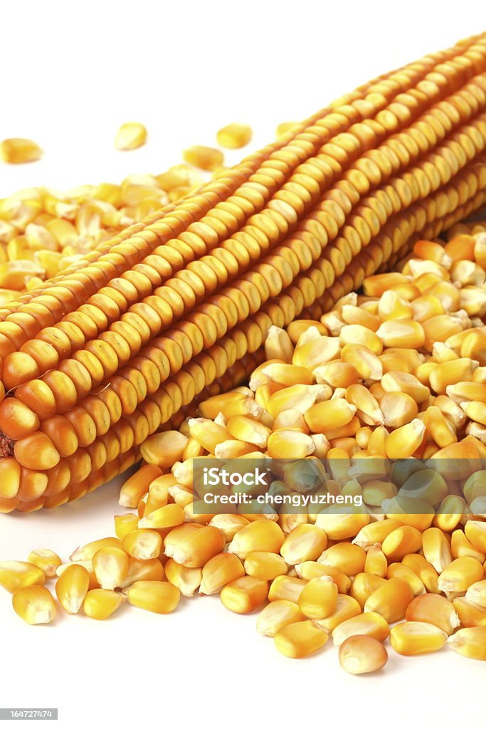 Épi de maïs séchés - Photo de Aliment libre de droits