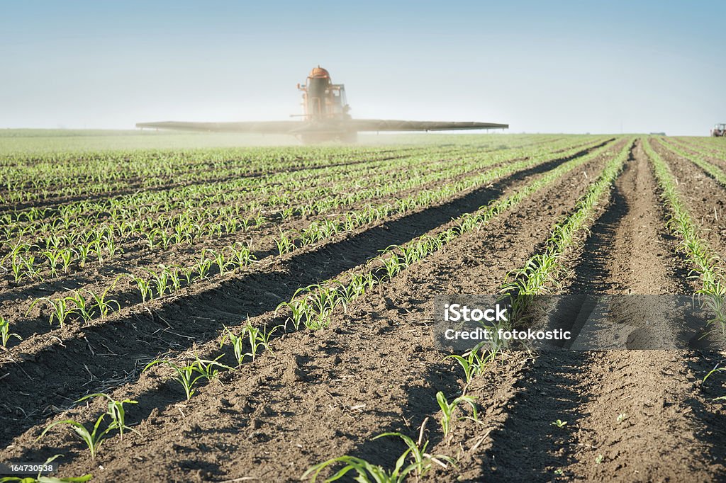 Traktor fertilizes Cropped - Lizenzfrei Agrarbetrieb Stock-Foto