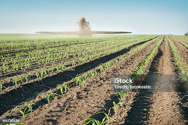 Traktor Fertilizes Cropped Stockfoto und mehr Bilder von Agrarbetrieb - Agrarbetrieb, Arbeiten, Ausrüstung und Geräte