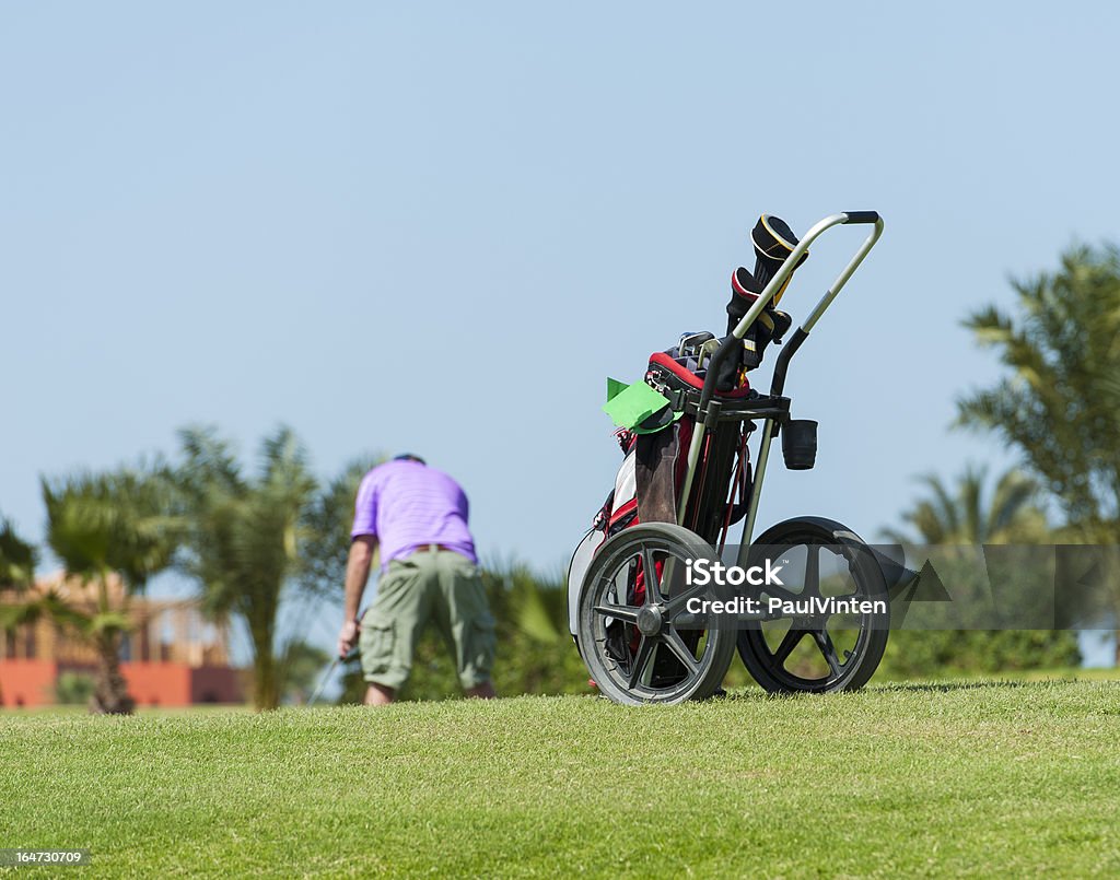 Carro en un campo de golf con un golfista - Foto de stock de Carrito de palos de golf libre de derechos