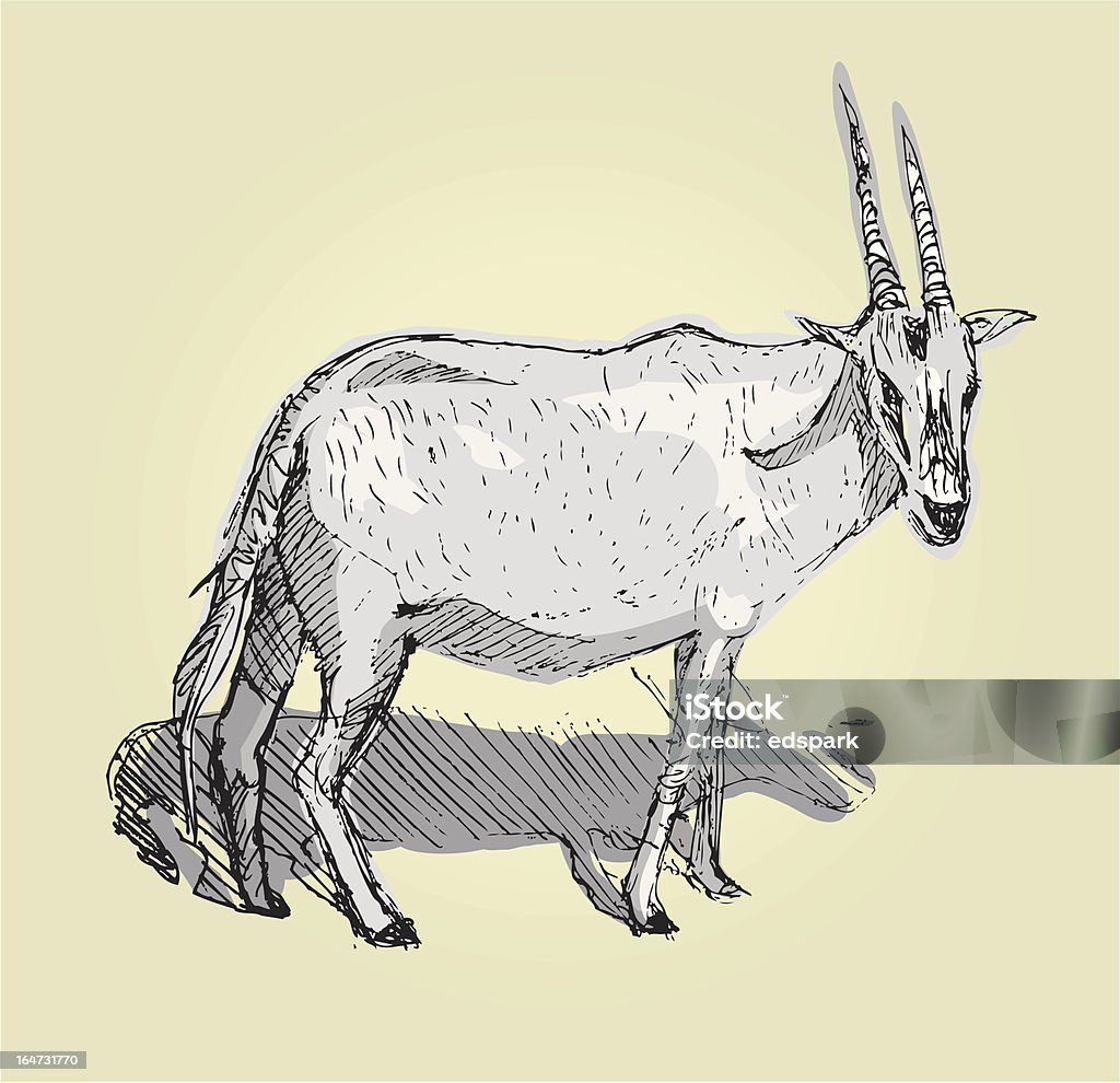 Male antelope Sketch in shade of gray of an antelope. Africa stock vector