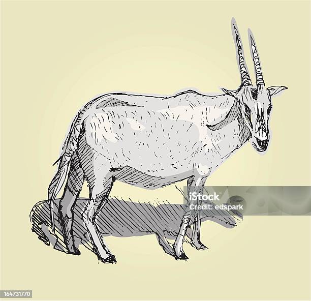 Male Antelope Stock Illustration - Download Image Now - Africa, Animal, Animal Themes