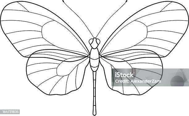 외형선 나비 곤충에 대한 스톡 벡터 아트 및 기타 이미지 - 곤충, 나방, 나비