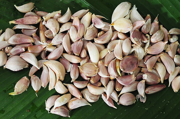 garlic on green leaf stock photo