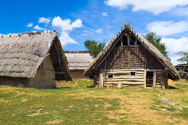 istock wooden shack with thatched roofs in rural open-air farmer 164733191