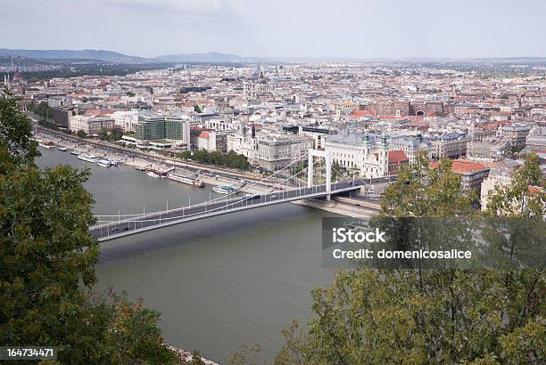 Brücke Über Den Fluss Und Bäume Stockfoto und mehr Bilder von Budapest - Budapest, Osten, Ungarn