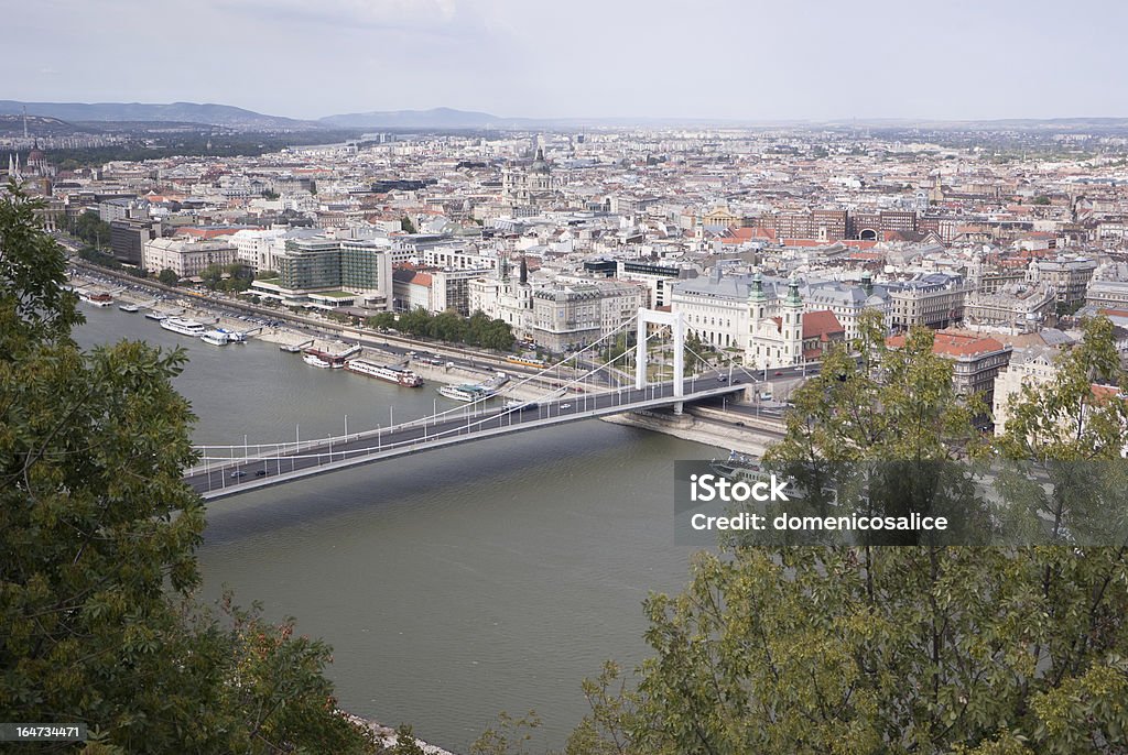 Ponte sul fiume e tra gli alberi - Foto stock royalty-free di Budapest