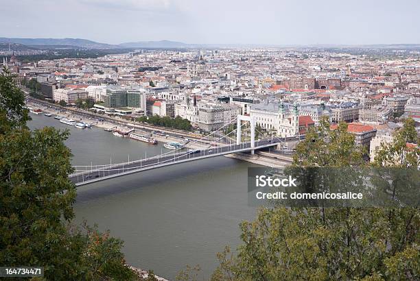 Ponte Sul Fiume E Tra Gli Alberi - Fotografie stock e altre immagini di Budapest - Budapest, Est, Ungheria