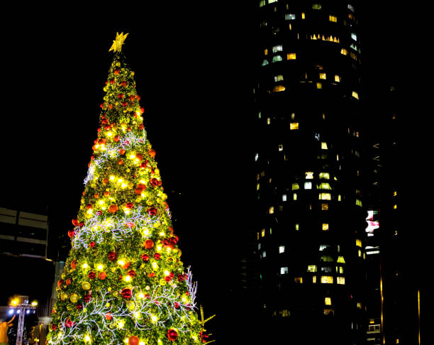 Decorated large outdoor Christmas tree with colorful lights and ornaments