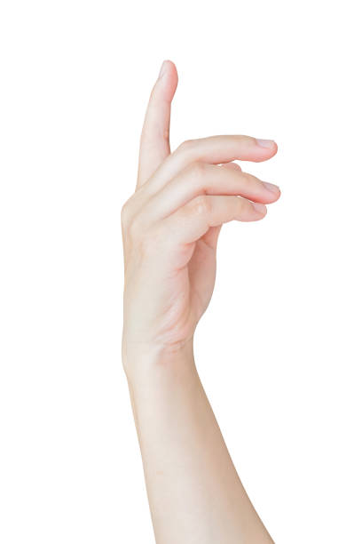 istock female hand touching or pointing to something isolated on white background 1647386714