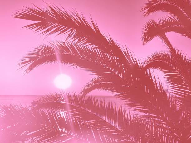 istock holiday palm trees and sunset over ocean 1647389367
