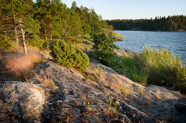 istock Finland summer seashore Kimito 164739094