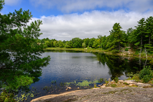 Muskoka, a picturesque region in Ontario, Canada, has been a source of inspiration for many great Canadian artists due to its stunning natural landscapes.