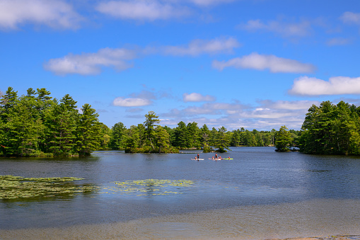 Muskoka, a picturesque region in Ontario, Canada, has been a source of inspiration for many great Canadian artists due to its stunning natural landscapes.