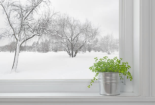 winter landschaft gesehen durch das fenster und grüne pflanze - blizzard house storm snow stock-fotos und bilder