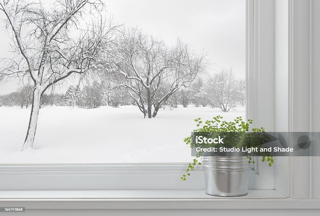 Winter landscape seen through the window, and green plant Winter landscape seen through the window, and green plant on a windowsill. Window Stock Photo