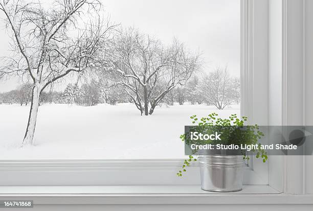 Winter Landscape Seen Through The Window And Green Plant Stock Photo - Download Image Now