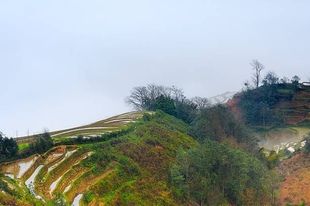 terrasses haut - agriculture artificial yunnan province china photos et images de collection