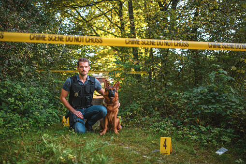 Armed handsome  Caucasian policeman in bulletproof vest, one knee on the ground of a murder  scene, holding the collar of a trained  dog before starting the search. Full length image, looking towards the camera.