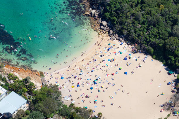 istock Shelly Beach Aerial, Northern Beaches, Sydney 1647511205