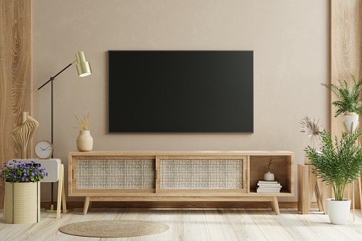 TV on the wood cabinet in modern living room with plant on cream color wall background.3d rendering