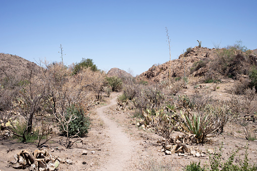 Trail through barren desert landscape in Superstition Mountains, Arizona, United States