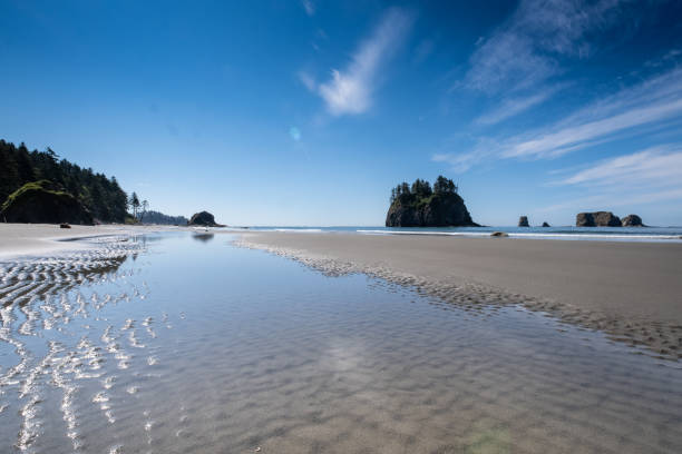 istock Seastacks at Second Beach in Olympic National Park. 1647523356