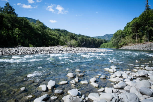 Elwha River in Olympic National Park in Washington State.