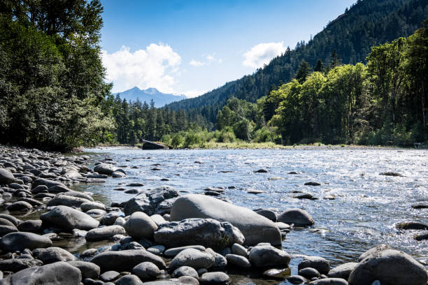istock Elwha River in Olympic National Park in Washington State. 1647523394
