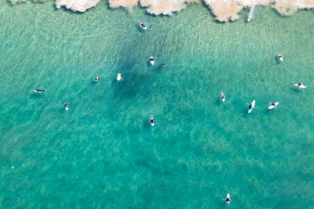 istock Freshwater Beach, Surfers, Northern Beaches, Sydney 1647527238
