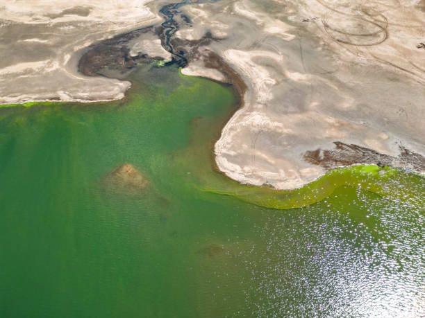 istock The Colorado Lake 1647531104