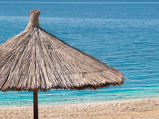 istock sun umbrella at the beach 164754929