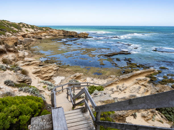 istock Timber stairs to beach 1647566923